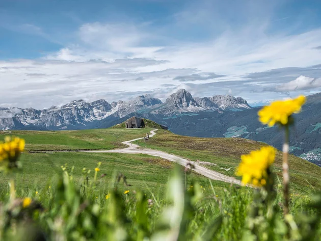 Ein Herbst-Wochenende in San Vigilio © Skirama Kronplatz Bergwiese mit Bergpanorama und gelben Blumen im Vordergrund