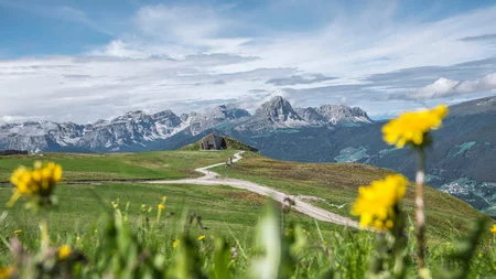Ein Herbst-Wochenende in San Vigilio © Skirama Kronplatz Bergwiese mit Bergpanorama und gelben Blumen im Vordergrund