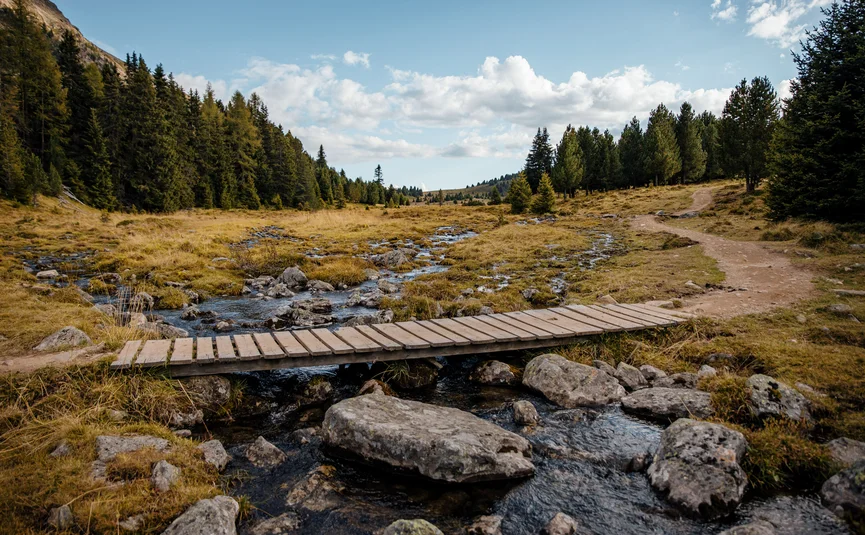 Holzbrücke über kleinen Bach in Wald- und Wiesenlandschaft
