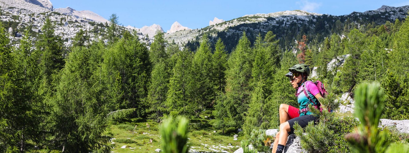 TOP 5 ALL MOUNTAIN TOUR: ARMENTARA MEADOWS
