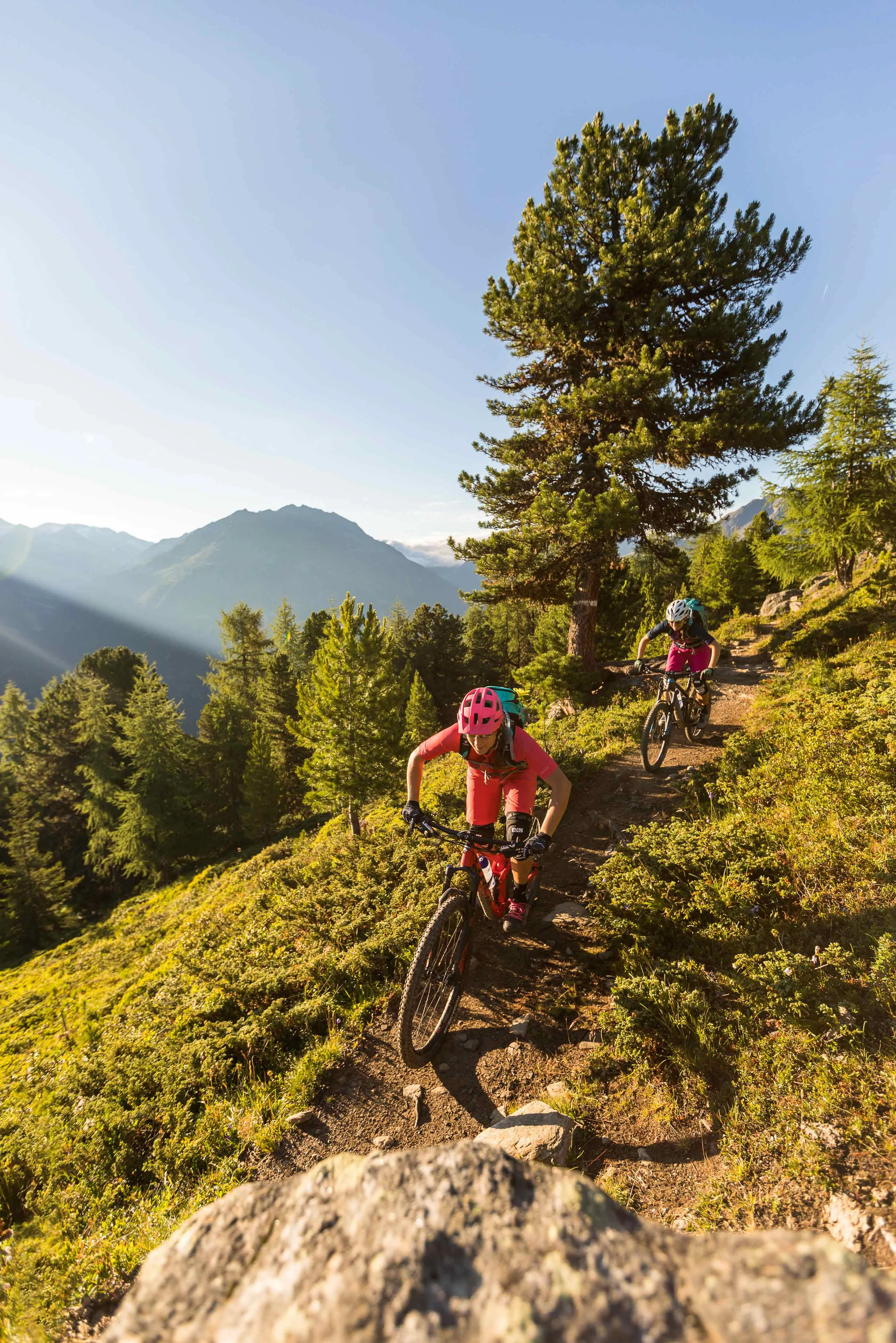 Zwei Personen fahren Mountainbike auf einem Waldweg in den Bergen bei Sonnenschein