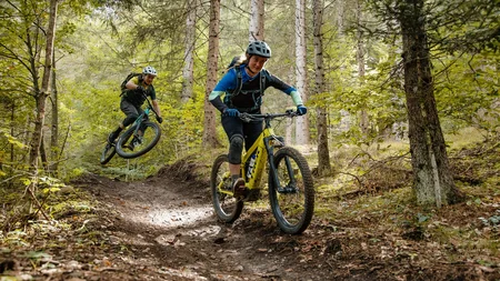 Zwei Mountainbiker fahren auf einem Waldweg, einer macht einen Sprung über einen Hügel