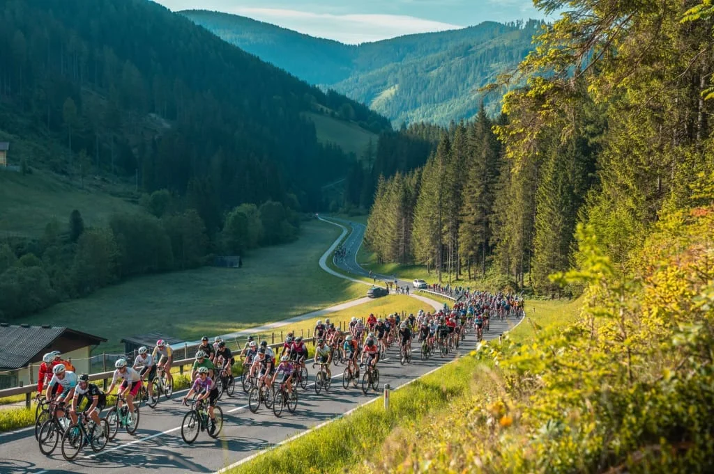Radrennen in den Bergen auf einer Straße durch bewaldete Täler