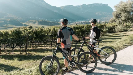 Two cyclists with mountain bikes overlooking vineyards and mountains in sunlight