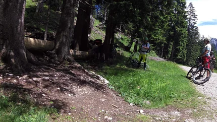 Groep fietsers pauzeert op een bospad bij zonnig weer