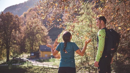 Couple enjoying autumn walk in forest with falling leaves
