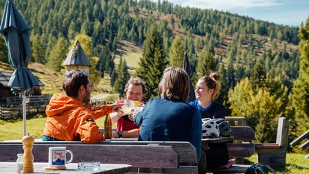 7 Highlights im NOCKBIKE-MTB-Urlaub © David Karg Vier Freunde stoßen mit Getränken bei einem Picknick im Wald an