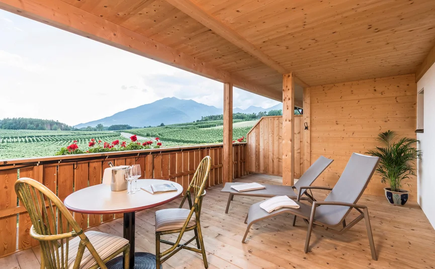 Balcony overlooking vineyards and mountains in the background