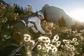 3=4 Tage Zugspitze Spätsommer inkl. 3 Tage Z-Ticket Persoon mountainbiken door bloeiende weide bij zonsondergang met berg op achtergrond