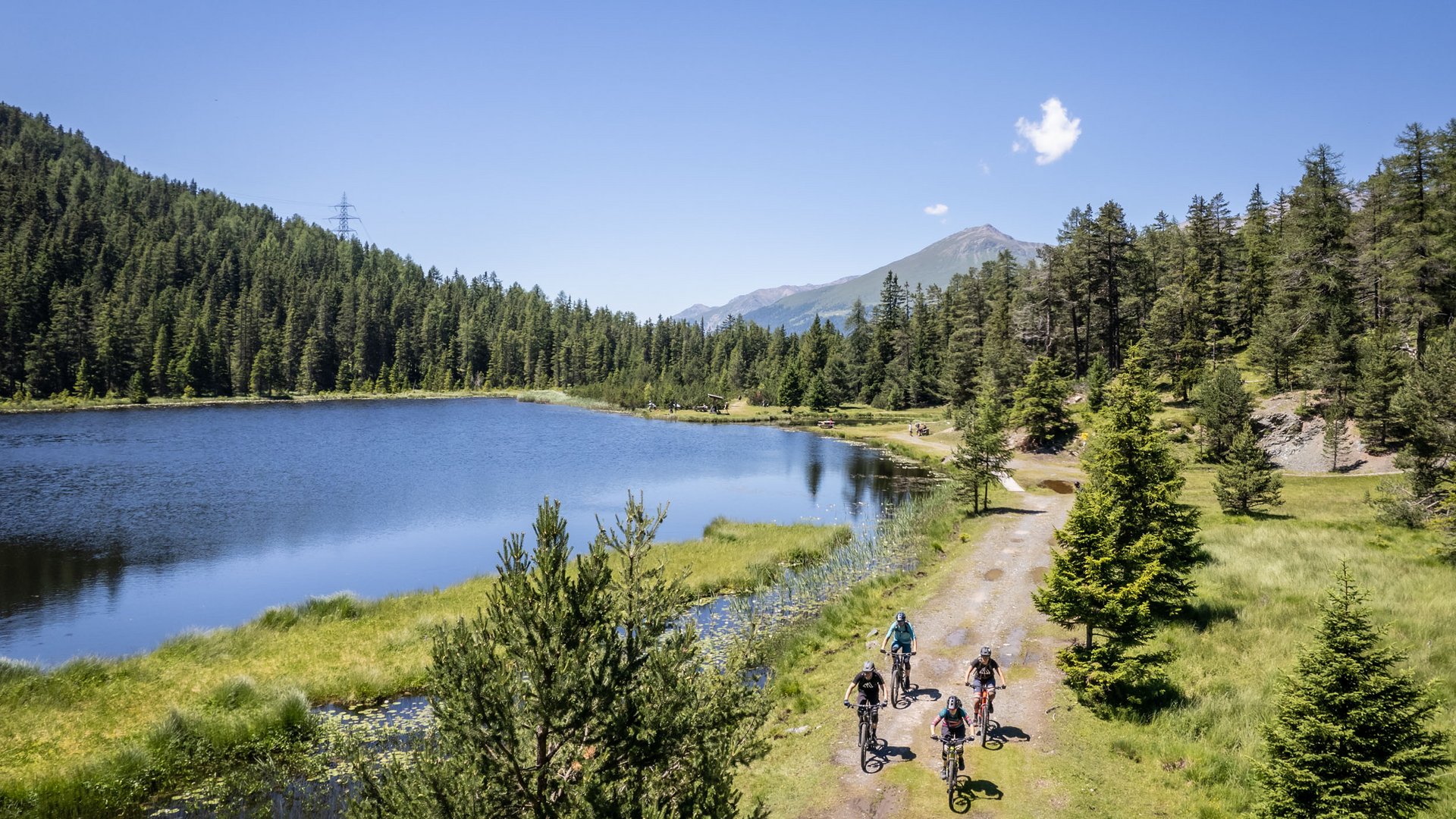 Vier Radfahrer auf Waldweg neben See bei sonnigem Wetter