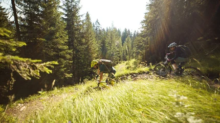 Zwei Mountainbiker fahren auf einem Waldweg im Sonnenlicht