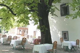 Week- Half-board Outdoor terrace with tables and chairs under trees next to white building