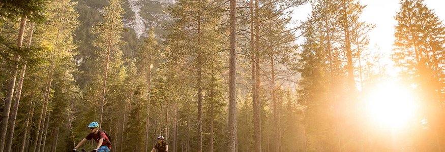 Zwei Mountainbiker fahren im Wald bei Sonnenuntergang vor Bergkulisse.
