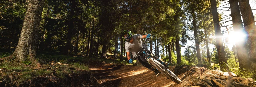 Mountainbiker fährt in sonnigem Wald auf kurviger Strecke