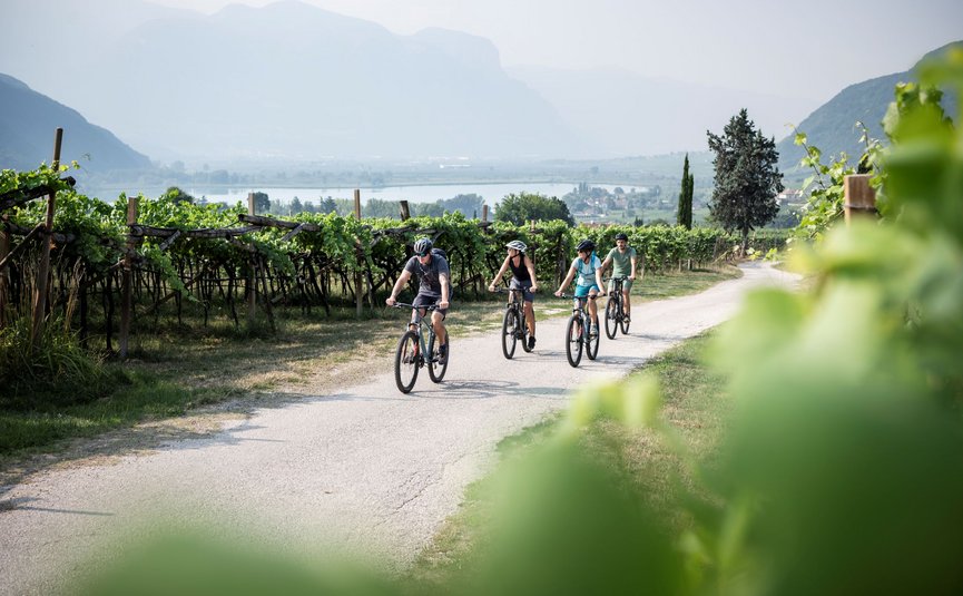 Mountain bike holiday in Tramin