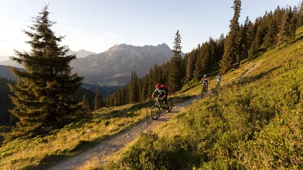 Drei Mountainbiker auf Waldweg im Gebirge bei Sonnenuntergang
