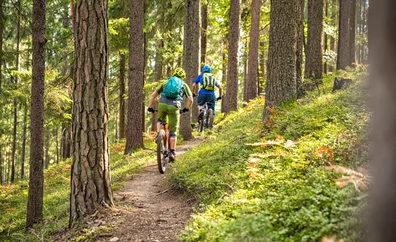 Zwei Mountainbiker fahren auf einem Waldweg bergauf