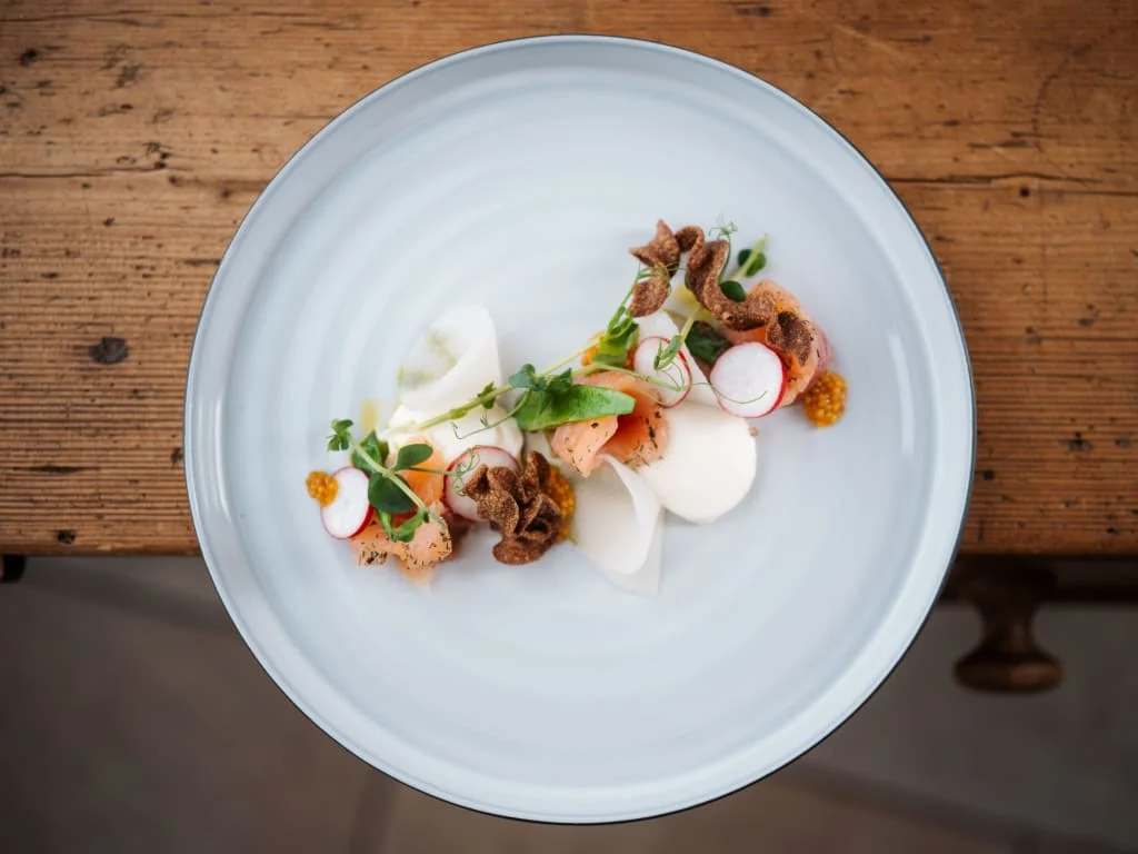 Fein angerichtetes Gericht mit Lachs, Radieschen und Mikrogrün auf blauem Teller