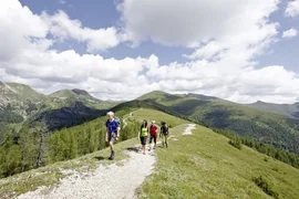"Flotte Wadln" Wanderpauschale Vier Wanderer auf einem Bergweg mit grünen Hügeln und blauem Himmel