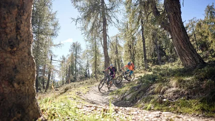 Zwei Mountainbiker fahren auf einem Waldweg bei Sonnenlicht