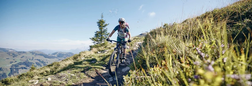 Mountainbiker fährt auf schmalem Pfad in Berglandschaft bei klarem Himmel
