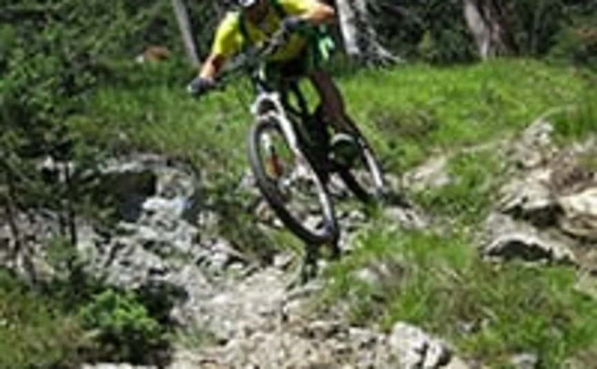 Mountain biker riding on a rocky forest trail