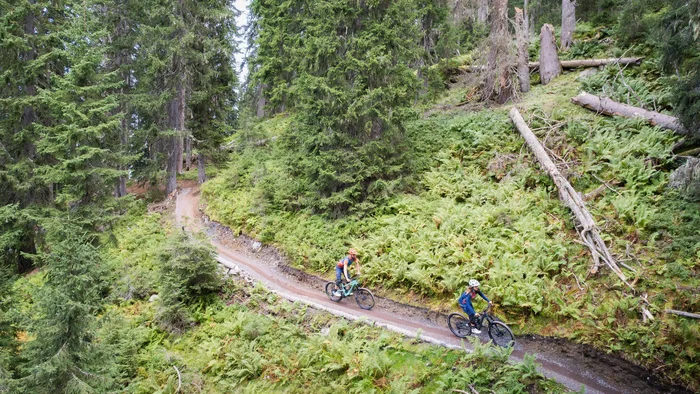 Twee mountainbikers fietsen over een bospad omgeven door bomen en varens