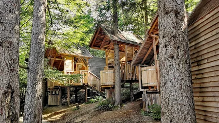 Was steckt hinter dem Umweltengagement von Bikehotels? © Ribno Alpine Resort - Katarina Strgar Holzhäuser auf Stelzen im Wald bei Tageslicht