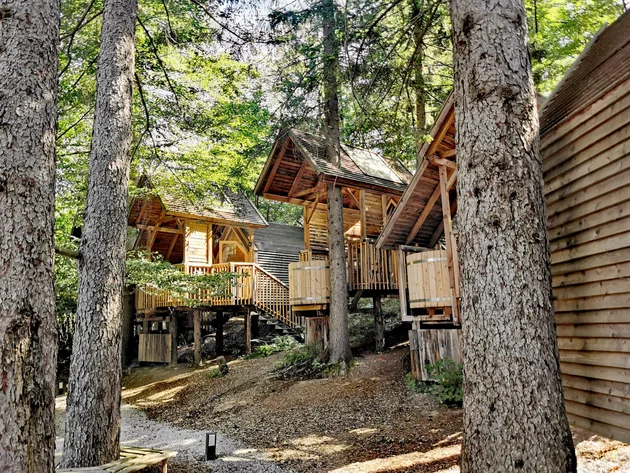 Was steckt hinter dem Umweltengagement von Bikehotels? © Ribno Alpine Resort - Katarina Strgar Holzhäuser auf Stelzen im Wald bei Tageslicht