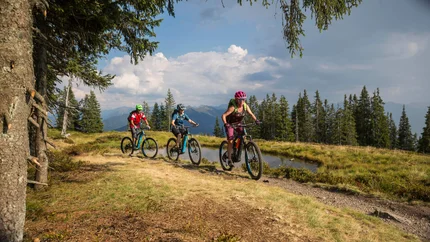 Drei Mountainbiker fahren auf einem Waldweg bei sonnigem Wetter in den Bergen
