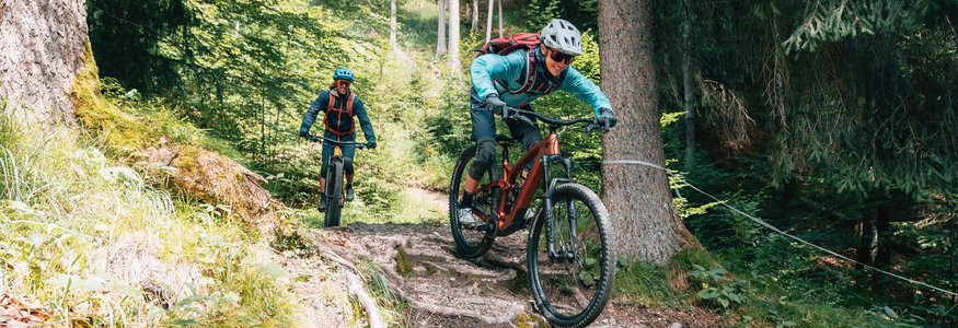 Zwei Mountainbiker fahren auf einem wurzeligen Waldweg bergab