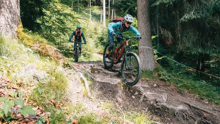 Zwei Mountainbiker fahren auf einem wurzeligen Waldweg bergab