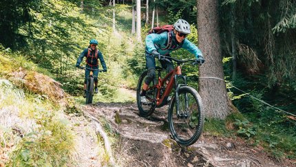Zwei Mountainbiker fahren auf einem wurzeligen Waldweg bergab