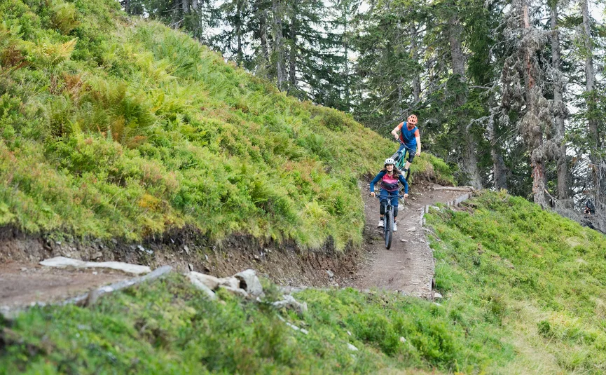 Twee mountainbikers op een bospad met weelderig groen