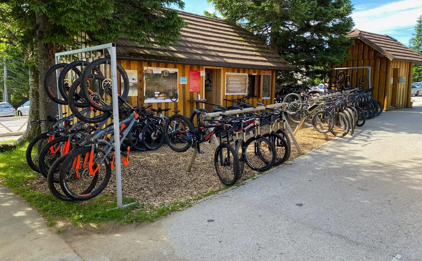 Fietsverhuur met veel mountainbikes voor houten hutten onder bomen