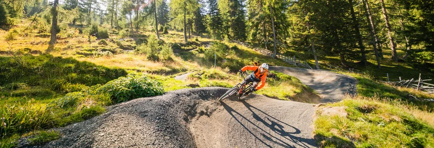Mountainbiker fährt kurvigen Waldweg bei sonnigem Wetter