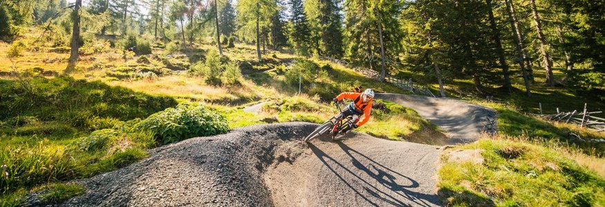 Mountainbiker rijdt kronkelend bospad op zonnige dag