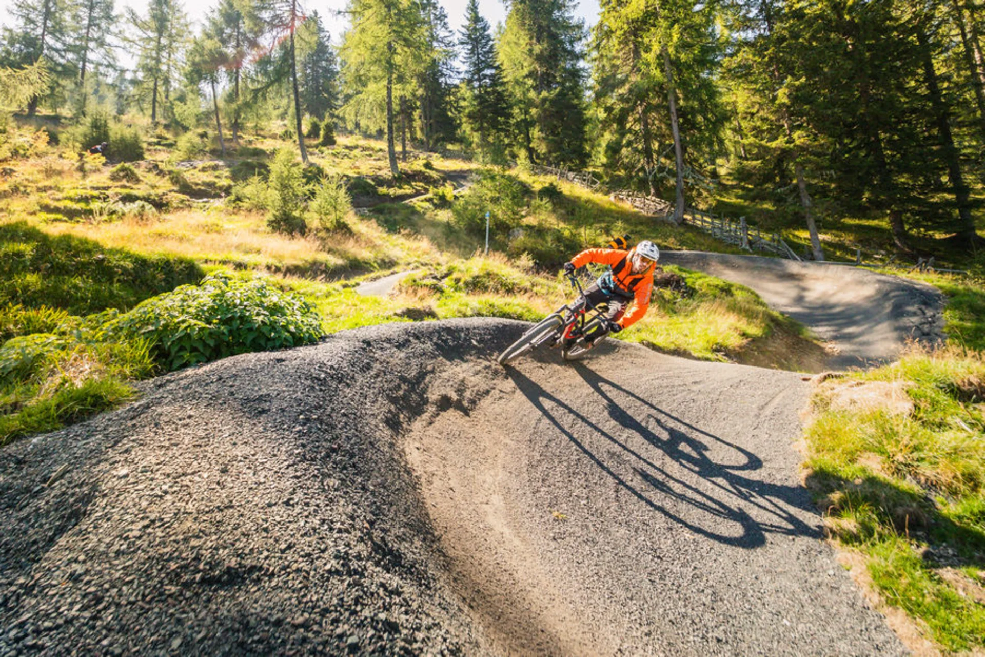 Mountainbiker fährt kurvigen Waldweg bei sonnigem Wetter