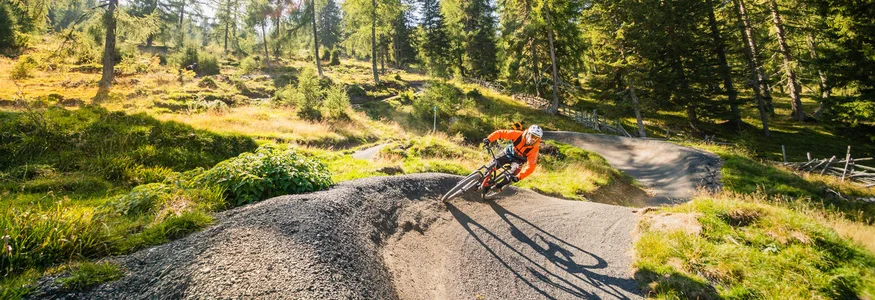 Mountainbiker fährt kurvigen Waldweg bei sonnigem Wetter