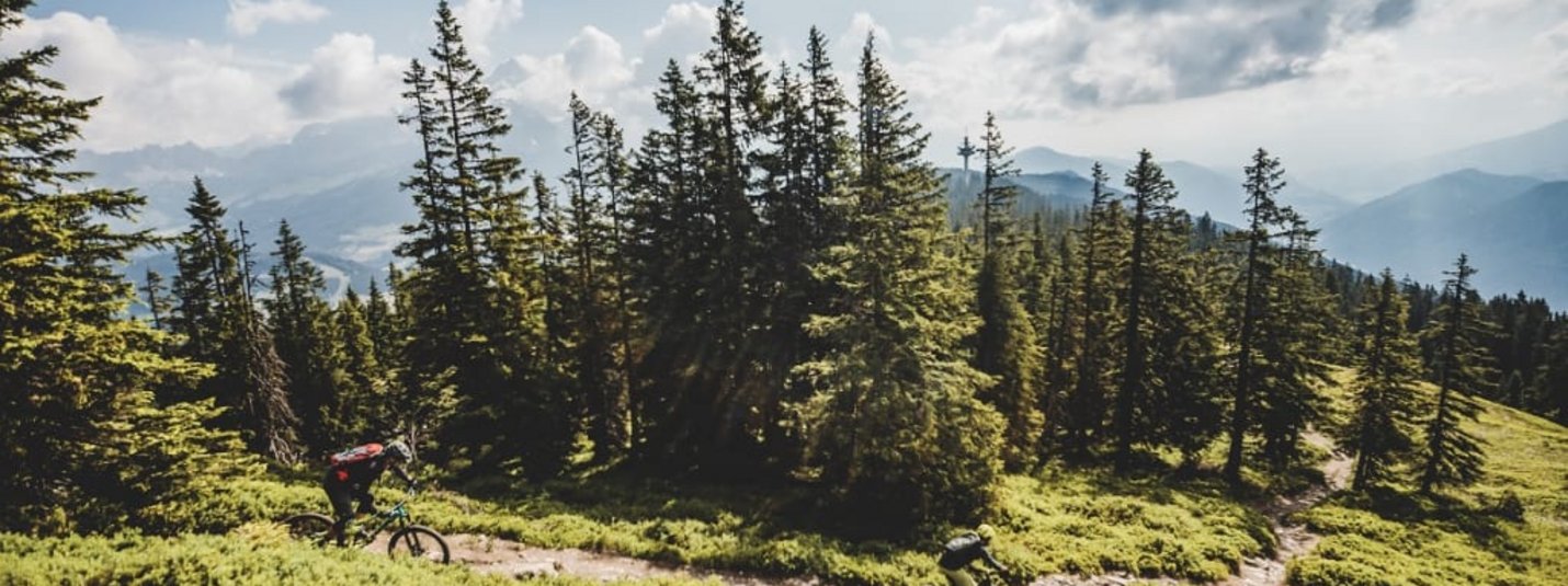 Two mountain bikers riding on a forest trail in the mountains