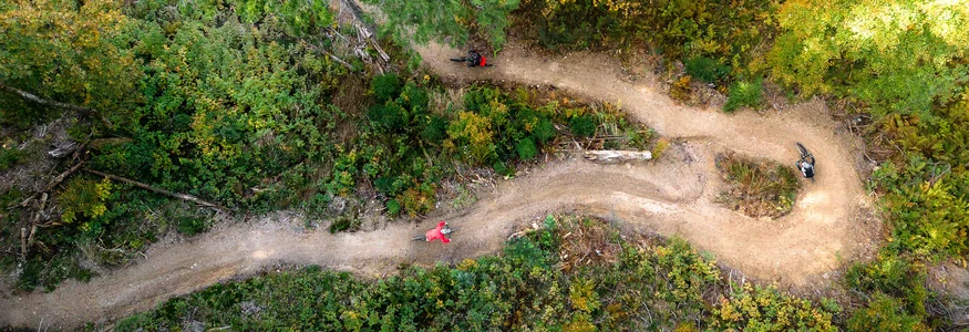 Three mountain bikers riding on a winding forest trail in autumn