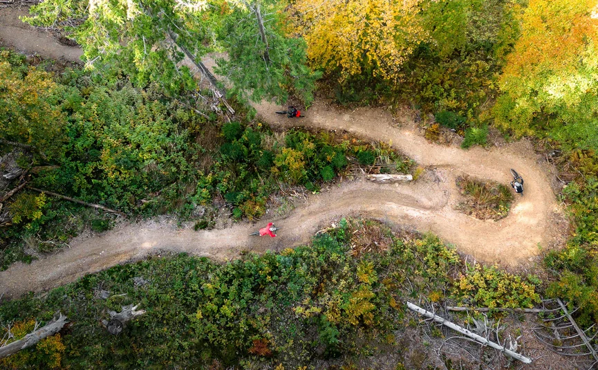 Three mountain bikers riding on a winding forest trail in autumn