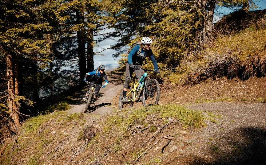 Zwei Mountainbiker fahren auf einem Waldweg bergab bei sonnigem Wetter