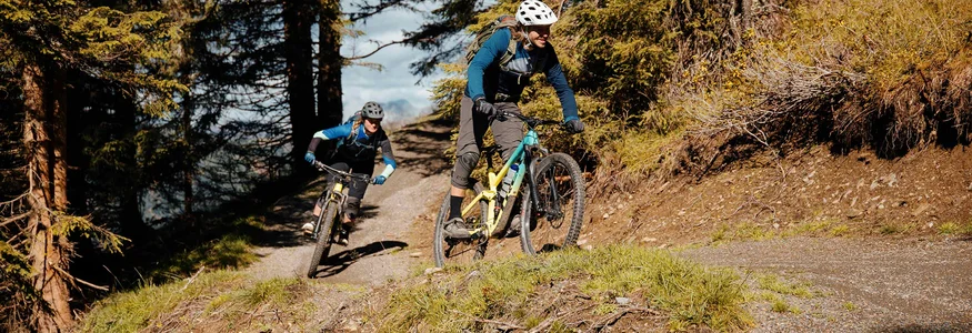 Zwei Mountainbiker fahren auf einem Waldweg bergab bei sonnigem Wetter