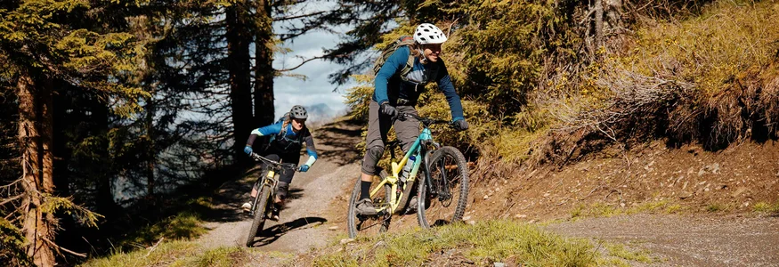 Zwei Mountainbiker fahren auf einem Waldweg bergab bei sonnigem Wetter