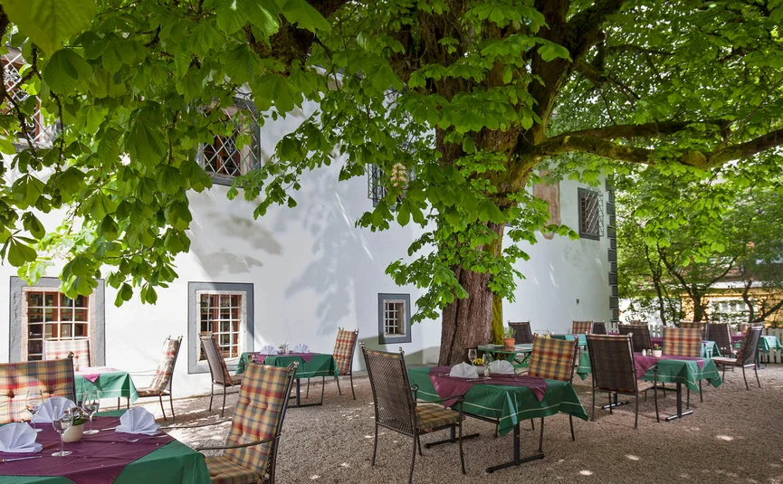 Terras met tafels, stoelen en grote bomen in een tuin