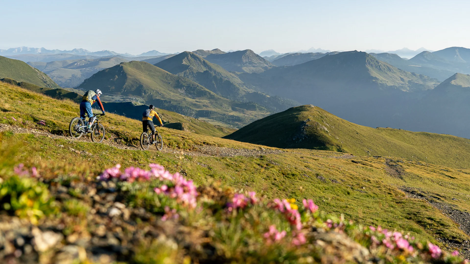 Zwei Mountainbiker auf Bergpfad mit Alpenpanorama und Blumen im Vordergrund