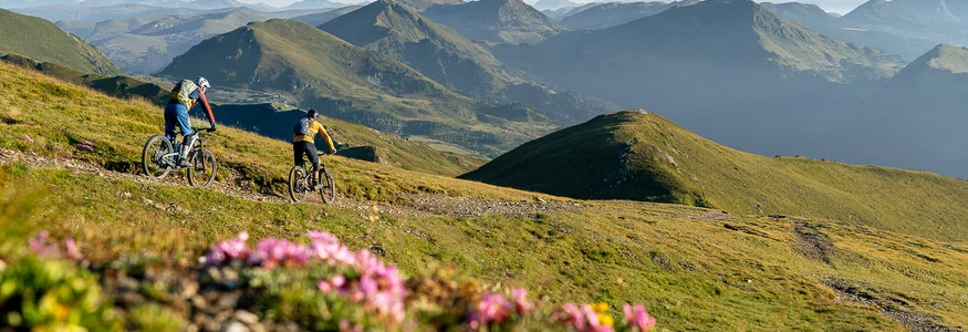 Zwei Mountainbiker auf Bergpfad mit Alpenpanorama und Blumen im Vordergrund