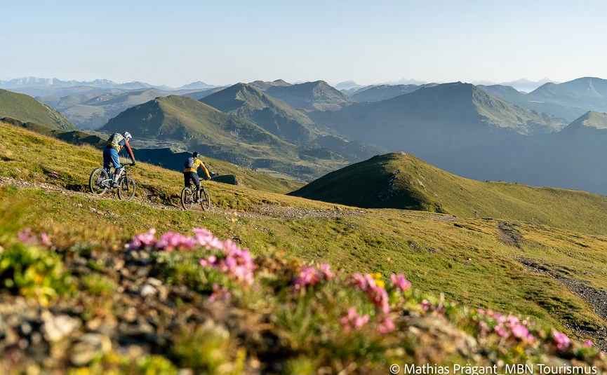 Zwei Mountainbiker auf Bergpfad mit Alpenpanorama und Blumen im Vordergrund