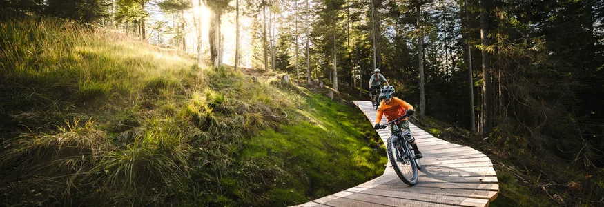 Zwei Mountainbiker auf einem Holzsteg in einem sonnigen Wald